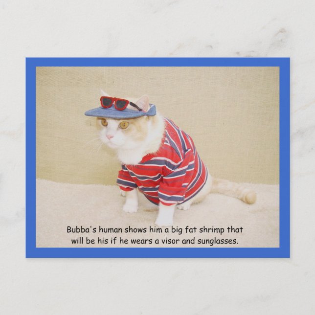 Postal Demasiado Guay Bubba Kitty (Anverso)