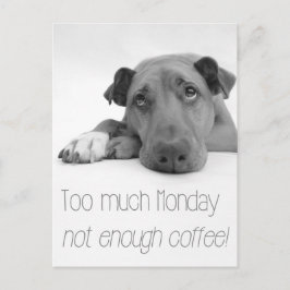 Postal Demasiado lunes, no suficiente café - Perro somnol