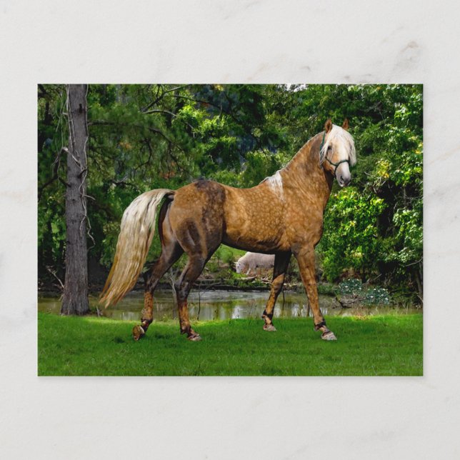 Postal "Demelza" (Anverso)