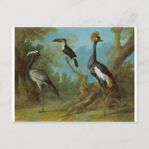 Postal Demoiselle Crane, Toucan y Tufted Crane