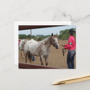 Postal Demostración de Caballo de la Spotted Pony of Amer