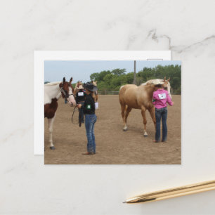 Postal Demostración de caballos Paint y Palomino