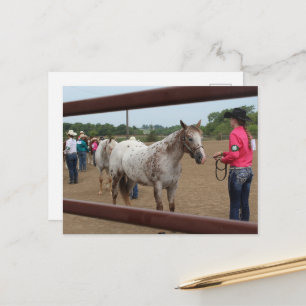 Postal Demostración en espectáculo de caballos