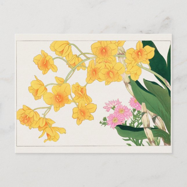 Postal Dendrobium, China aster, por Tanigami Konan (Anverso)