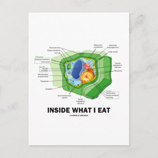 Postal Dentro de lo que yo como (el humor vegetariano de