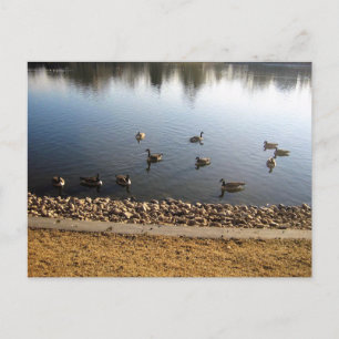 Postal Denver City Park, Denver, Colorado