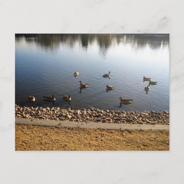 Postal Denver City Park, Denver, Colorado (Anverso)