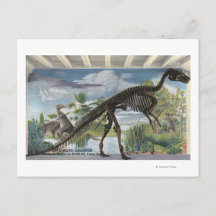Postal Denver, Colorado - Museo de Historia Natural