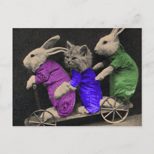 Postal Deportes extremos (Anverso)