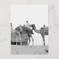 Depósito de B&W Dubai