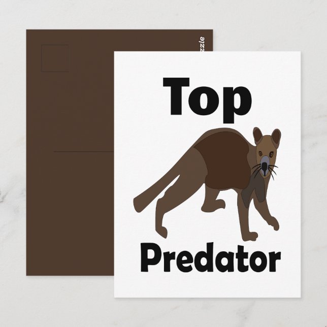 Postal Depredador superior carnívoro Fossa Madagascar (Anverso / Reverso)