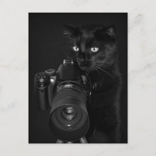 Postal Der Fotograf - Postkarte