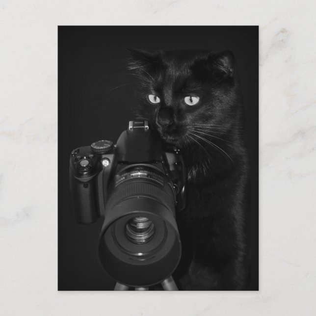 Postal Der Fotograf - Postkarte (Anverso)