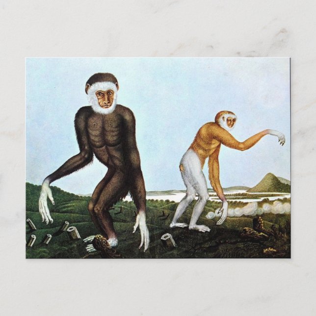 Postal Der Gibbon o The Gibbon (1833) (Anverso)