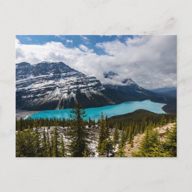 Postal Der Lake Peyto in den Rocky Mountains (Anverso)