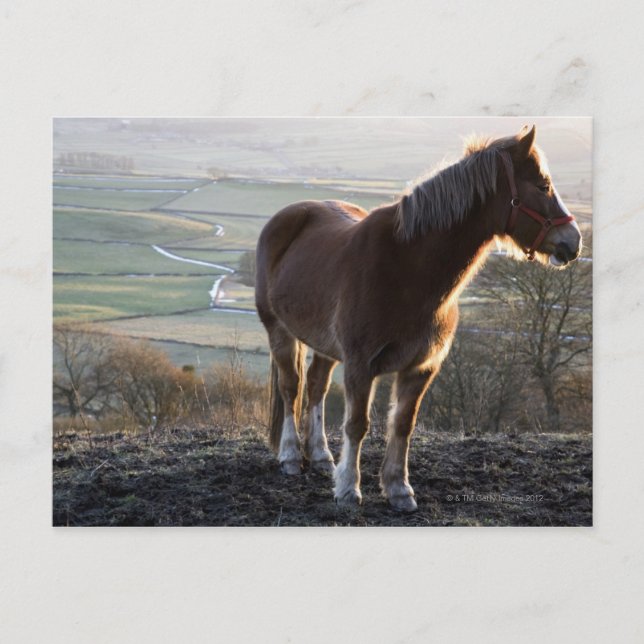 Postal Derbyshire, Inglaterra (Anverso)