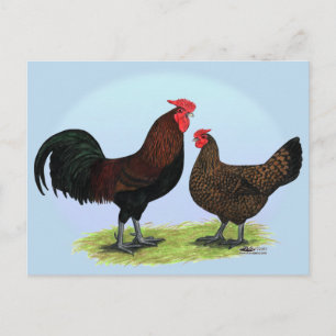 Postal Derbyshire Redcap Fowl