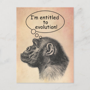 Postal Derecho a la evolución de los grandes simios