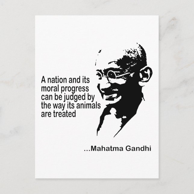 Postal Derechos de los animales (Anverso)