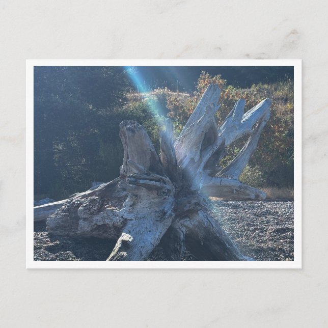 Postal Derivación (Anverso)