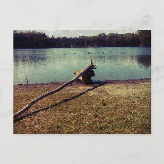 Postal Derivación (Anverso)