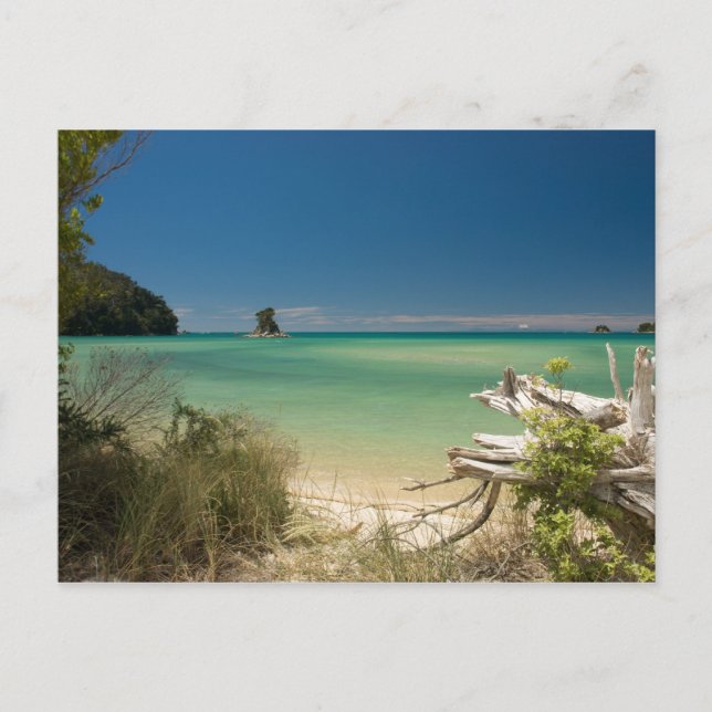 Postal Derivación (Anverso)