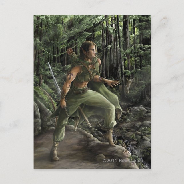 Postal Derolan Postcard (Anverso)