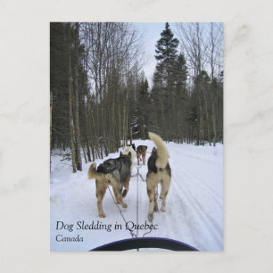 Postal Derrame de perro en Quebec, Canadá