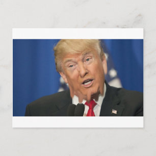 Postal Derribo de Trump/Drumpf
