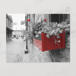 Postal Des fleurs à Montréal