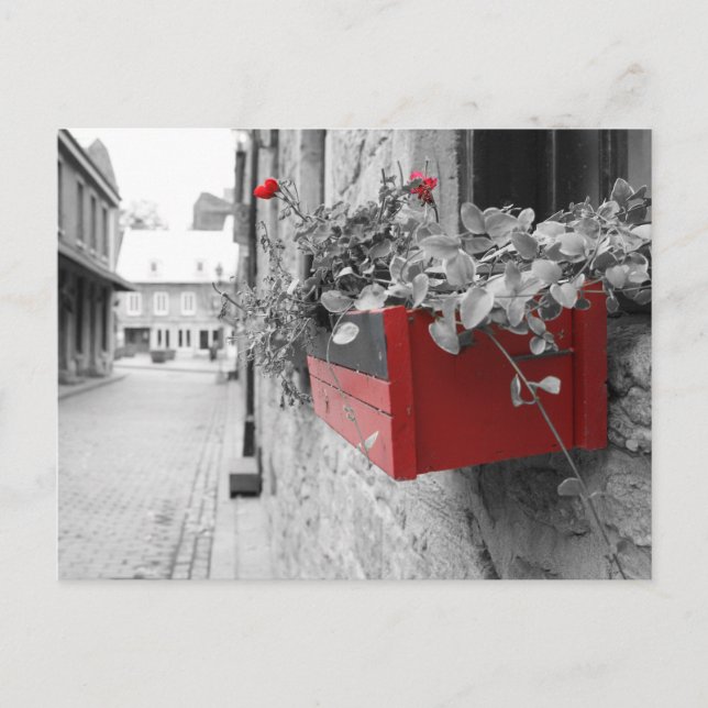 Postal Des fleurs à Montréal (Anverso)