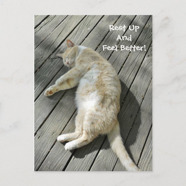 Postal Descansa Siéntete Mejor Gato Cuto Ponte Bien Perso (Anverso)
