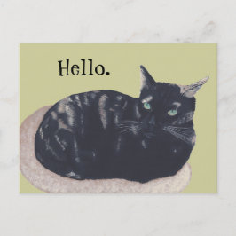 Postal Descanso de la trama Tortoise Cat Pintura Hola Pos