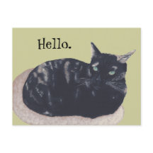 Descanso de la trama Tortoise Cat Pintura Hola Pos