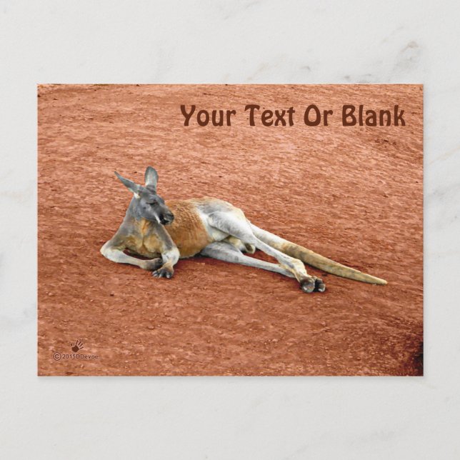 Postal Descanso de Red Kangaroo Buck (Anverso)