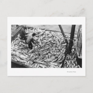 Postal Descargando Salmón de las naves de pesca Fotografí