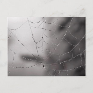 Postal Descensos del Web