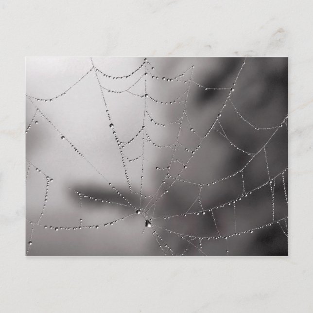 Postal Descensos del Web (Anverso)