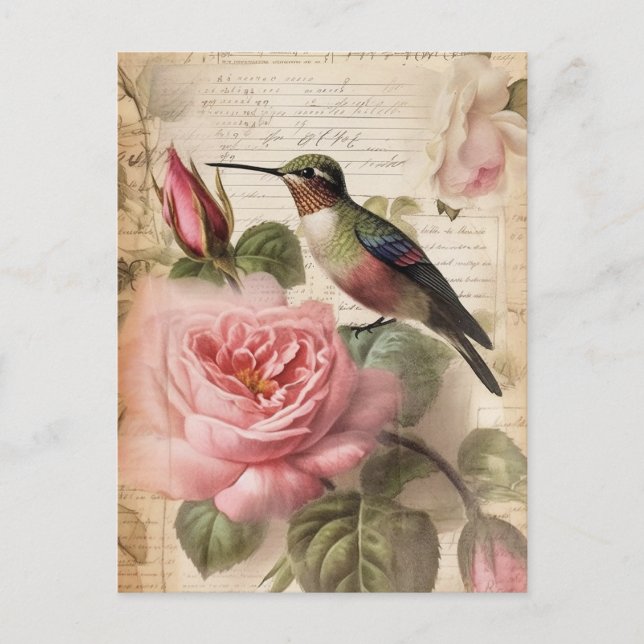 Postal Desconexión de colibrí y rosas rosadas (Anverso)