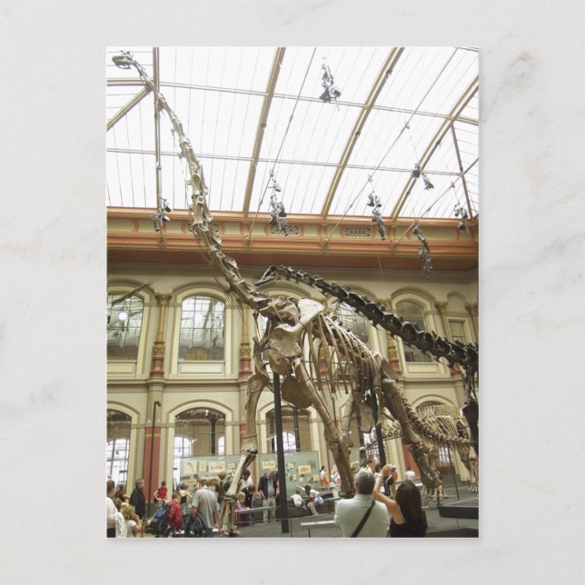 Postal Descripción Museo de Historia Natural, Berlín: Esq (Anverso)