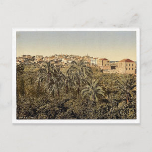 Postal Desde el jardín, Jaffa, Tierra Santa, (es decir, I