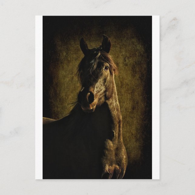 Postal Desde la oscuridad (Anverso)