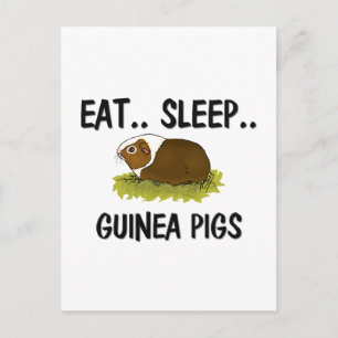 Postal Dese Sleep GUINEA PIGS