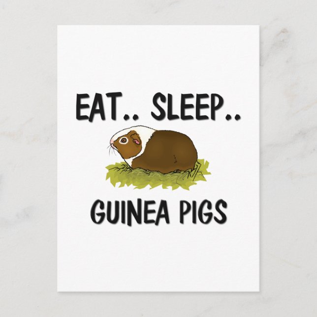 Postal Dese Sleep GUINEA PIGS (Anverso)