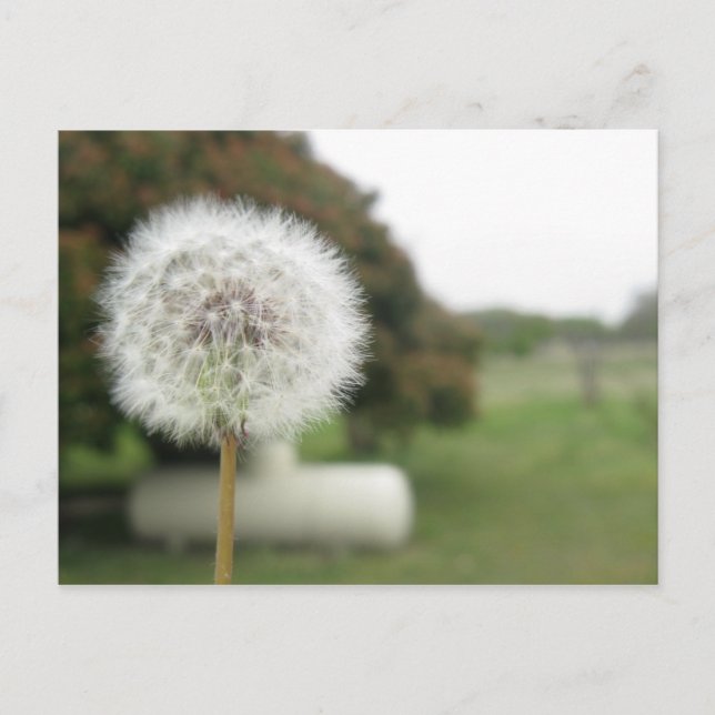 postal deseable (Anverso)