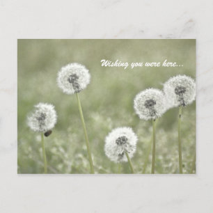 Postal Deseando que estuvieras aquí...