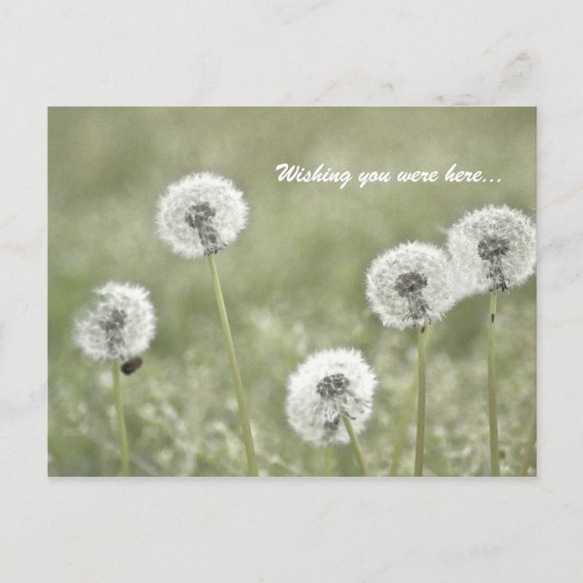 Postal Deseando que estuvieras aquí... (Anverso)
