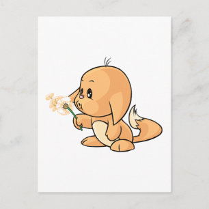 Postal Desear Kacheek anaranjado