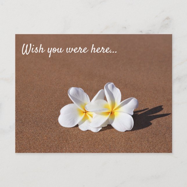 Postal Desearía Estar Aquí La Postcard Blanca Plumeria Ma (Anverso)
