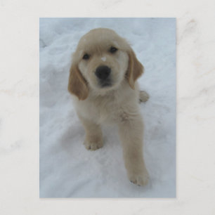 Postal Desearía Que Estuvieras Aquí